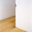 A Corner Bitten