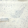 Constellation Drawing C
