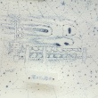 Constellation Drawing B