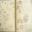 excerpt from idea sketchbooks